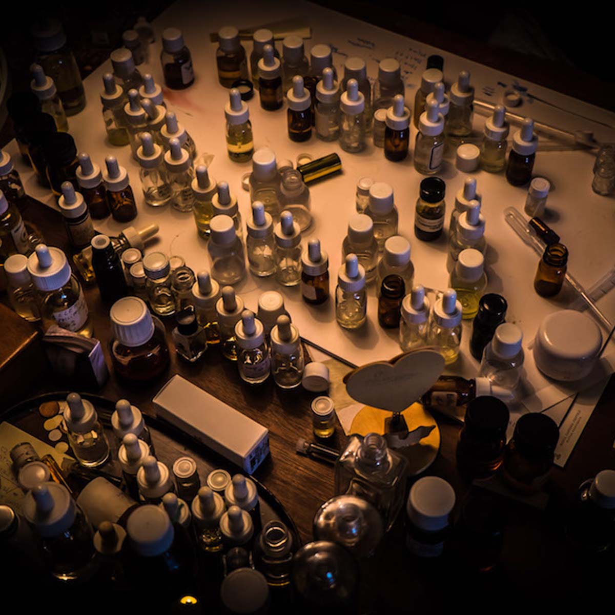 Maria Candida Gentile molecole naturali il giardino